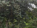 Tn DSC 3963